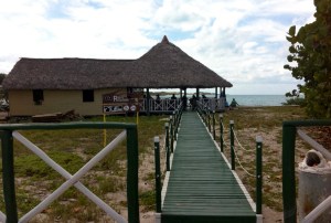 note the lid on the bin